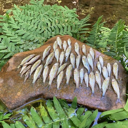 Gite De Champdore Nanthiat エクステリア 写真